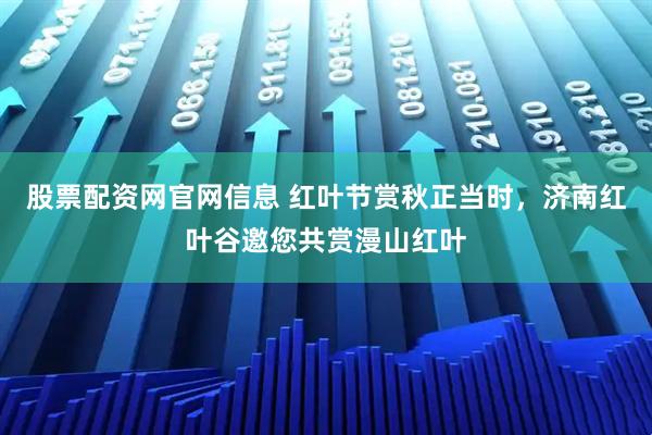 股票配资网官网信息 红叶节赏秋正当时，济南红叶谷邀您共赏漫山红叶