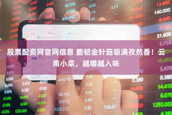 股票配资网官网信息 脆韧金针菇吸满孜然香！云南小菜，越嚼越入味